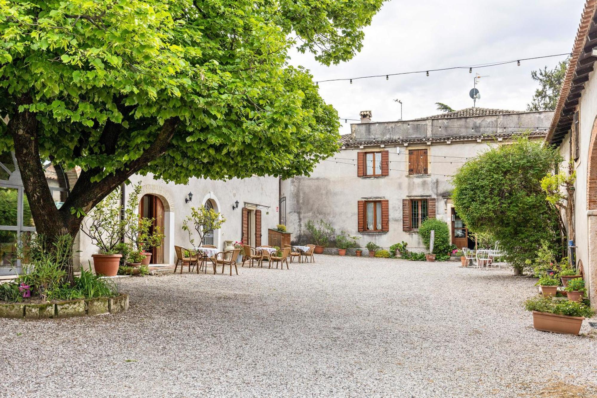 Agriturismo Della Pieve Бардолино Екстериор снимка